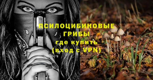 СК Нязепетровск