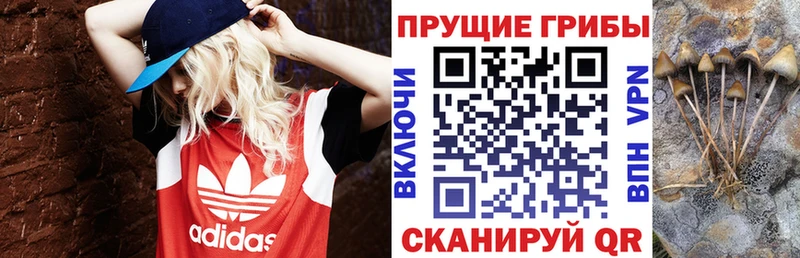 Псилоцибиновые грибы MAGIC MUSHROOMS  Руза 